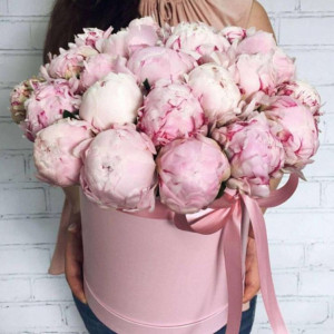 21 розовый пион в коробке